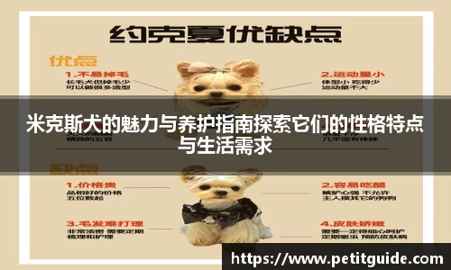 米克斯犬的魅力与养护指南探索它们的性格特点与生活需求