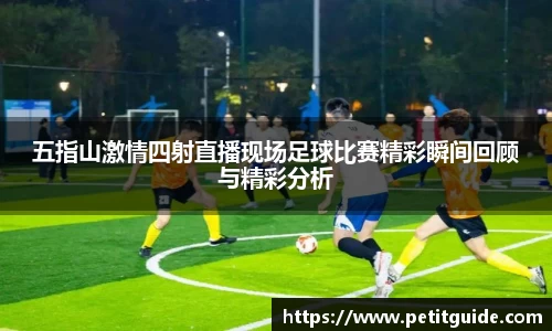 威廉希尔williamhill在线登录
