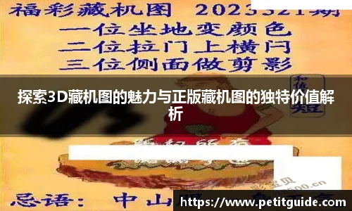 探索3D藏机图的魅力与正版藏机图的独特价值解析