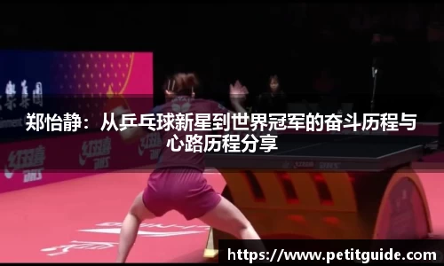 郑怡静：从乒乓球新星到世界冠军的奋斗历程与心路历程分享
